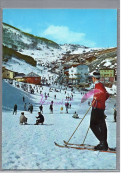Théme Sport - Un Groupe De Skieur  HIver Neige Ski Homme Femme Carte Vierge Luge - Sports D'hiver