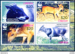 Fauna 2005. - Liberia