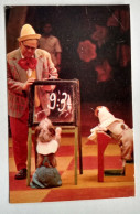 Dogs  Matematyki Clown   Circus  /  CCCP Postcard - Cirque