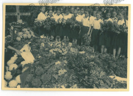 RO 36 - 21044 SIGHISOARA, Mures, Iron Guard Youth - Old Press Photo 12,5/8,5 Cm - 1941 - Roumanie