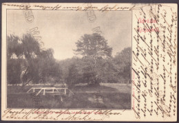 RO 36 - 24950 CHISINAU-CRIS, Arad, Park, Bridge, Romania - Old Postcard - Used - 1905 - Rumänien