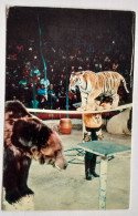 Tiger Bear Circus  /  CCCP Postcard - Zirkus