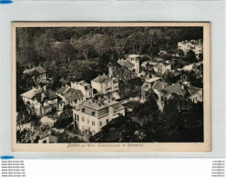 Baden Bei Wien 1914 - Helenenstraße Im Helenental - Baden Bei Wien