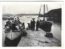 Photo Ancienne -  22 - Ile De Brehat - Annee 1950 - Places