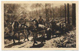 GUYENNE GASCOGNE - Attelage De Mules - Altri & Non Classificati