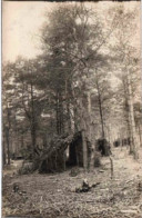 Cabanes Dans Les Bois. CPA. - Bäume