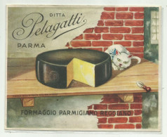 BUSTA PUBBLICITARIA  DITTA PELAGATTI PARMA - DIMENSIONI CM.15X12 - Reclame