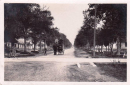 51 - Marne -  MOURMELON Le GRAND - Camp De Chalons - Quartier Fleurus Et Loano - Mourmelon Le Grand