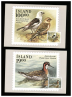 ISLAND - Cartolina Maximum - BIRDS - Maximumkarten