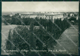 Roma Grottaferrata Foto FG Cartolina ZKM8052 - Sonstige & Ohne Zuordnung