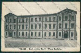 Treviso Città Scuole Aristide Gabelli PIEGHE Cartolina ZC1483 - Treviso