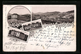 Lithographie Oppelsdorf, Hotel Z. Curhausas, Carola-Bad, Albert-Bad  - Sudeten