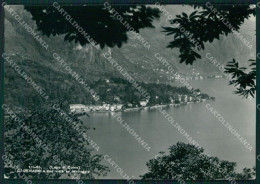 Como Cadenabbia Lago Di Como Foto FG Cartolina KB4444 - Como