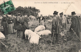 FRANCE - Basse Normandie - Une Foire - Le Marché Aux Porcs - Animé - Carte Postale Ancienne - Caen