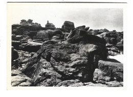 Photo Ancienne -  22 Ploumanach -le Phare - Annee  Juillet 1950 - Places