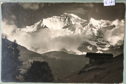 Die Jungfrau Im Abendlicht (16'773) - Adelboden