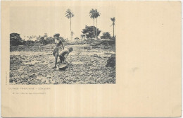 AFRIQUE GUINEE. CONAKRY.  PECHE DES COQUILLAGES FEMME SEINS NUS - Guinée Française