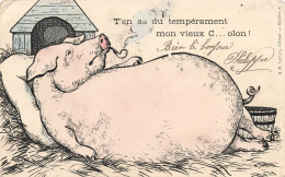 ILLUSTRATEUR - T'en As Du Tempérament Mon Vieux C....olon! - Colorisé - Carte Postale Ancienne - Other & Unclassified