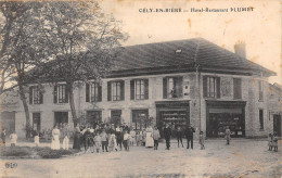 77-CELY-EN-BIERE- HÔTEL RESTAURANT PLUMET - Other & Unclassified