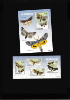 Central African Republic 2023 Insect Moths - Zentralafrik. Republik