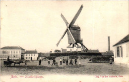 ZELE /  ZANDBERGPLAATS / MOLEN - Zele