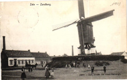 ZELE /  ZANDBERGPLAATS / MOLEN - Zele