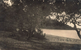 CARTE PHOTO - Nouvelle-Calédonie - Lac - Arbres - Paysage - Carte Postale Ancienne - Nieuw-Caledonië
