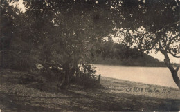 CARTE PHOTO - Nouvelle-Calédonie - Lac - Arbres - Paysage - Carte Postale Ancienne - Nueva Caledonia