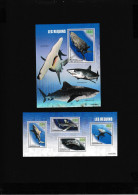 Central African Republic 2023 Marine Life Sharks - Repubblica Centroafricana