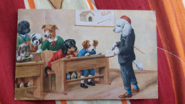 CPA CHIEN CHIENS HABILLES ECOLE MAITRE INSTITUTEUR CANICHE ELEVE LIVRE - Animaux Habillés