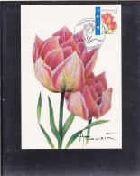 MAX Buzin 2008 Tulp Peach-Tulipe Rose Cat.3723 - 2001-2010