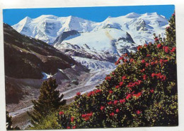 AK 213554 SWITZERLAND - Berninagebiet - Piz Palü Und Bellavista - Autres & Non Classés