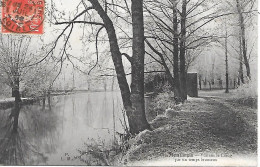 MONTARGIS - ( 45 )- Vue Sur Le Loing - Montargis