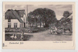 39069604 - Keitum A. Sylt, Kuenstlerkarte Mit Landhaus. Ungelaufen Um 1900 Gute Erhaltung. - Sylt