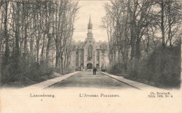 LUXEMBOURG - Vue Sur L'avenue Pescatore - Animé - Carte Postale Ancienne - Otros & Sin Clasificación