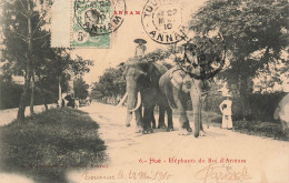 MIKIBP1-017- VIETNAM HUE ELEPHANTS DU ROI D ANNAM - Vietnam