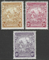 Barbados. 1938-47 Seal Of Colony. P13½X13. ½d Yellow, 2d, 6d MH. SG 248c, 250d, 254. M4082 - Barbados (...-1966)