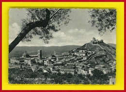 E-Italie-134PHCC  ASSISI, Vue Générale Prise Du Mont Subasio, BE - Autres & Non Classés