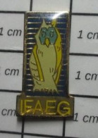 1118C Pin's Pins / Beau Et Rare : ANIAMUX / IFAEG OISEAU NOCTURNE RAPACE HIBOU CHOUETTE - Animals