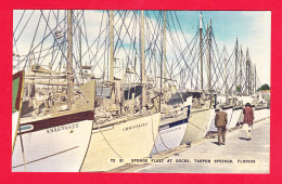 E-Etats Unis-123A74 Sponge Fleet At Docks, Tarpon Springs, Cpa Colorisée BE - Autres & Non Classés