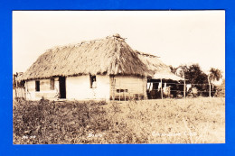 E-Cuba-33A74  Carte Photo, CIENFUEGOS, "Bohio", Cpa BE - Kuba