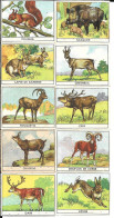 AL84 - SERIE COMPLETE MARTINEAU - ANIMAUX SAUVAGES - MOUFLON DAIM LIEVRE SANGLIER ECUREUIL - Autres & Non Classés