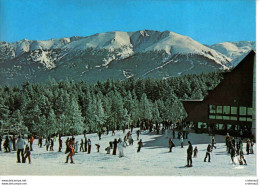 66 FONT ROMEU Vers Prades Le Bas Des Pistes Aux AIRELLES Nombreux Skieurs - Prades