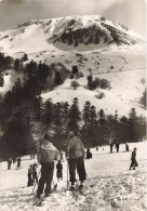 FRANCE - Le Mont Dore - Skieurs Au Pied Du Sancy - Carte Postale - Le Mont Dore