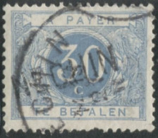 Belgique Timbre-taxe (TX) - Surcharge Locale De Distributeur - NECHIN - (F977) - Francobolli