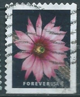 VERINIGTE STAATEN ETAS UNIS USA 2019 CACTUS FLOWERS: ECHINOCEREUS POSELGERI F USED SN 5353 MI 5569 YT 5189 - Used Stamps