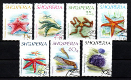 Albanien 1966 - Mi.Nr. 1060 - 1066 - Gestempelt Used - Tiere Animals Seesterne Starfish - Meereswelt