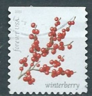 VEREINIGTE STAATEN ETATS UNIS USA 2019 WINTER BERRIES: WINTERBERRY F USED SN  5415 MI 5652 YT 5273 - Gebraucht