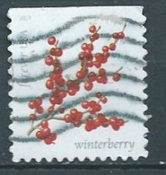 VEREINIGTE STAATEN ETATS UNIS USA 2019 WINTER BERRIES: WINTERBERRY F USED SN  5415 MI 5652 YT 5273 - Gebruikt