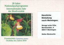Orchidee Frauenschuh Cypripedium Calcelus Karte Einladung - Flowers